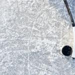 Ice hockey puck and stick