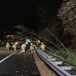 Firefighters work to remove a tree that was knocked over along the A27 near Oosterhout during Storm Conall. 27 Nov. 2024