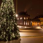 Christmas tree in Groningen