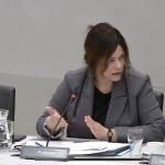 Sandra Palmen during a committee meeting about whistleblowers in the Tweede Kamer. 3 December 2024