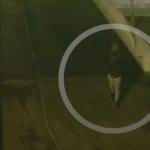 A person of interest seen on a bridge near a fatal shooting on Roelantpad in Rotterdam on 28 December 2024