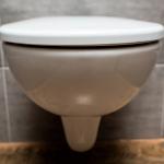 A public toilet seat