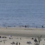People enjoying the first summer-weather day of the year at Zandvoort Beach. 30 April 2025