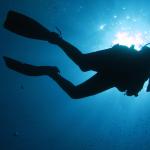 A diver.