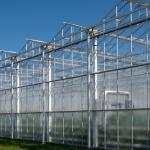 All seasons fresh vegetables, fruits and flowers, agriculture in Netherlands, big modern greeenhouses in Westland, exterior view