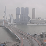 A gray and dreary view of Rotterdam over the Erasmus Bridge, 29 May 2025