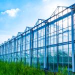 A greenhouse