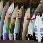 Surfboards standing in a row