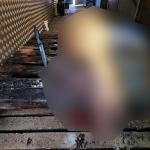 Blurred image of the pig carcass discovered by the NVWA during a raid on a farm on May 23 in Gelderland.