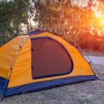 A tent in a forest
