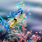High-resolution image of microplastics floating in water.