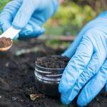A scientist taking a soil sample