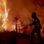 Emergency workers try to tackle wildfires north of Madrid, Spain. 12 August 2025