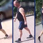 Suspect sought in sexual assault of a woman on Prinses Mariannelaan in Zeist on 15 August 2025