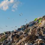 A landfill