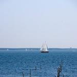 Sail boats on the IJmeer