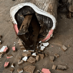 Tree trunk filled with cocaine, Ettensebaan, Breda, July 18, 2025. 