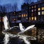 Swan artwork on display at the 14th edition of the Amsterdam Light Festival,  Nov. 2025.