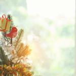 Sunlight streams through a window on Christmas morning.