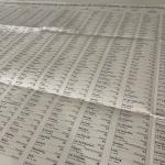 Large ballot paper used in the 2025 parliamentary election