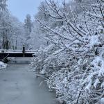 A snowy day in Diemen, Noord-Holland. 5 Jan. 2026