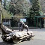 Entrance to the Apenheul Primate Park, Apeldoorn.