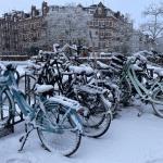 A row of snow-covered bicycles in Amsterdam. 5 Jan. 2026