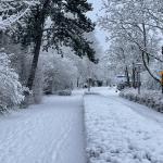 A snowy day in Diemen, Noord-Holland. 5 Jan. 2026