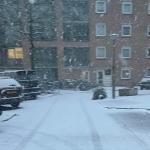 Snow covered street in Amsterdam, 5 January 2025