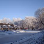 Snowy canal in Groningen 