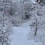 A snowy day in Diemen, Noord-Holland. 5 Jan. 2026