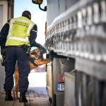 A Koninklijke Marechaussee officer and a sniffer dog checking a truck on the Hoek van Holland ferry to the United Kingdom 