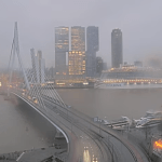 A gray winter morning at the Erasmus Bridge in Rotterdam, 19 February 2026