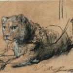 Young Lion Resting by Rembrandt van Rijn