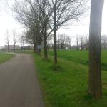 Eleveld in Drenthe
