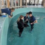 Volunteers at SOS Dolfijn with one of the harbor porpoises rescued from shallow waters near Vlieland. 6 March, 2026