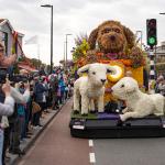 A Bloemencorso Bollenstreek float decorated with lambs and a puppy makes its way through Noordwijk en route to Haarlem, April 18, 2026.