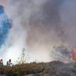 Firefighters at work on the Oirschotse Heide in Noord-Brabant, where a wildfire has broken out. The fire is burning near the Dutch Armed Forces' Major General De Ruyter van Steveninck Barracks, west of Eindhoven.