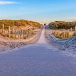 Couple walking on the path of bollard-lined sandy dune crossing near the beach in late evening light with blue sky, Hoek van Holland, Netherlands