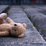 A lost teddy.