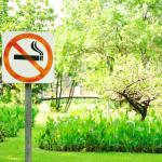 No smoking metal sign in the park