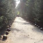 Memorial lane at the Sobibor WWII German extermination camp memorial in Poland