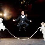 Comedian Tom Cotter was the runner-up to a talented dog act on America's Got Talent. 