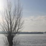 The Waal river near the Gelderland village of Ochten, 5 February 2021