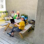 Students working on their Dutch coursework on the roof terrace at NedLes. June 2026
