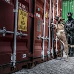 A Customs officer and sniffer dog checking sea containers