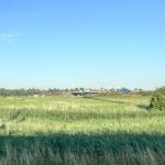 A bright and sunny morning near Moerdijk, Zuid-Holland, along the A16 motorway. 15 July 2026