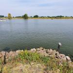 Low water levels in the Maas river, 16 August 2022