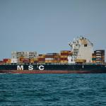 The MSC Gina cargo ship, built in 1999 in South Korea, can carry up to 4,056 20-foot sea containers, and measures nearly 260 meters long by over 32 meters wide. Seen here near Gibraltar in 2018.