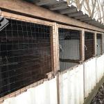 Archive photo of a cockfighting training center found in Bodegraven, 11 December 2018